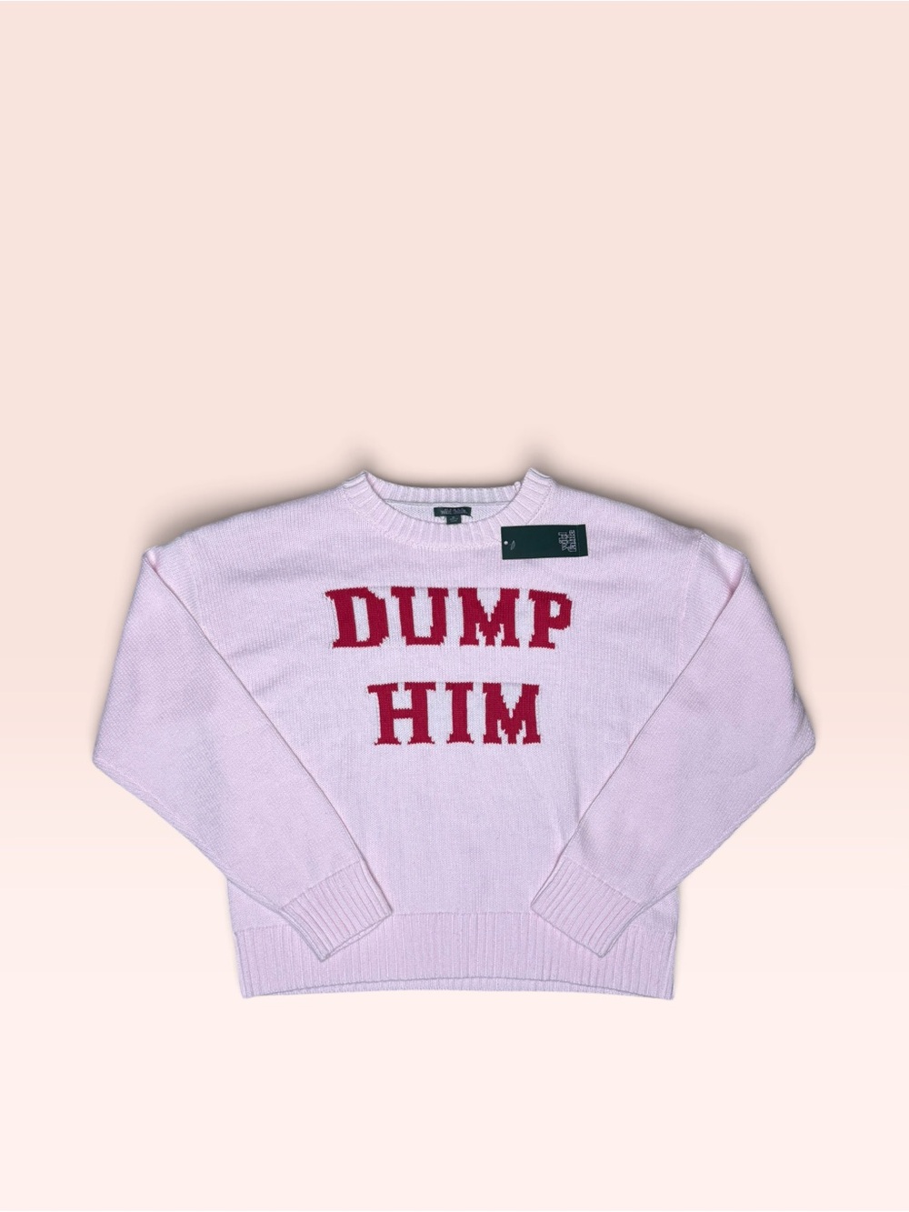Wild Fable Pink Dump Him Sweater
